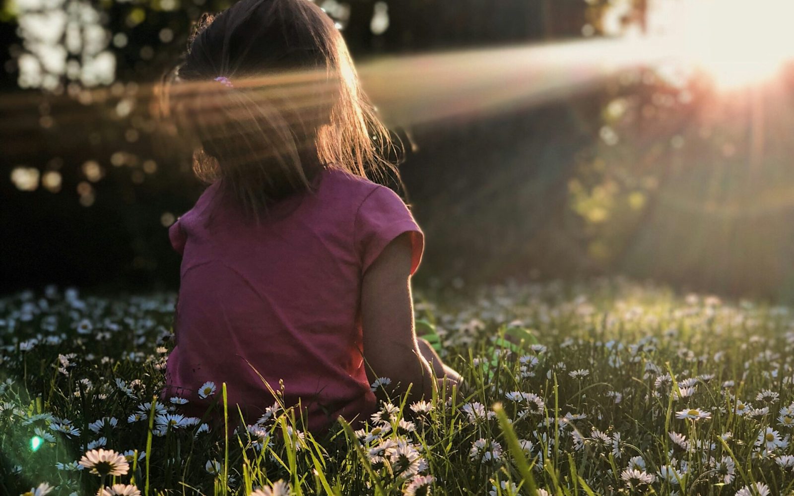 Mindfulness desde cero en Granada. Centro de Psicología Sulayr